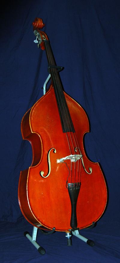 Bass, Acoustic Bass, Acoustic